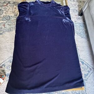 GAP Velvet Blue Dress